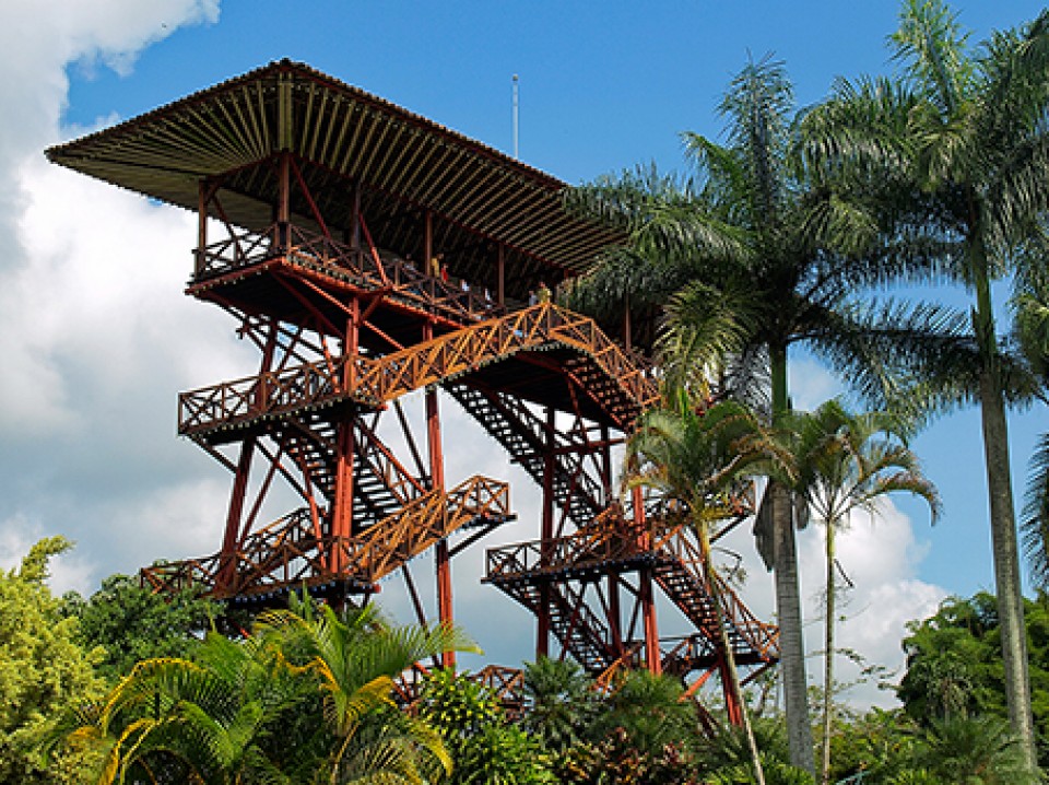 Torre del Parque del Café