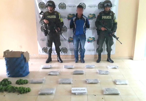 capturado en mondomo con marihuana capturado en mondomo con marihuana