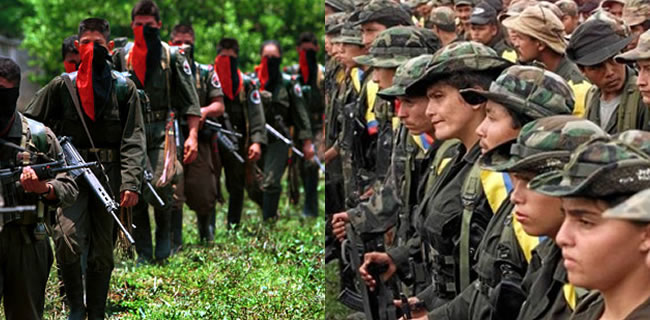 farc-y-eln farc-y-eln