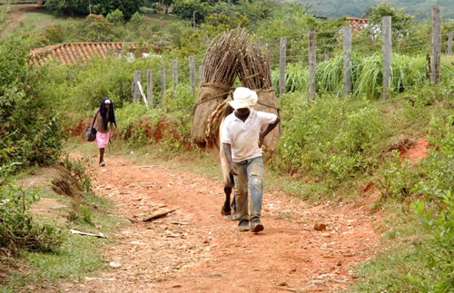 Desplazados-tierras-Cauca-restitución.jpg