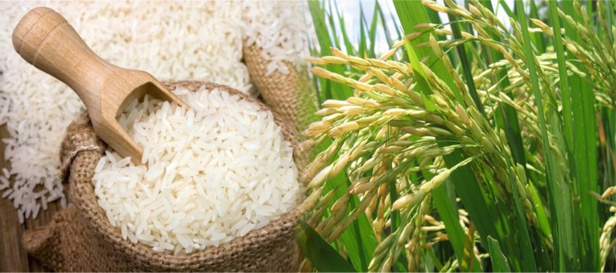 O-bajan-los-precios-del-arroz-o-hacemos-que-bajen-Aurelio-Iragorri.jpg