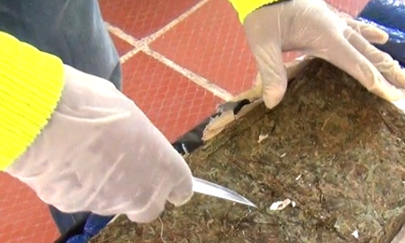 Puerto-Tejada-Incautación-marihuana-Policía-Cauca.jpg