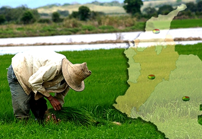 Agro-colombiano.jpg