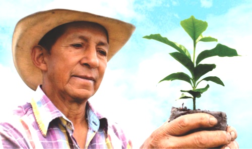 Caficultura-una-oportunidad-en-el-pacto-social-por-el-cauca-Miranda11.jpg