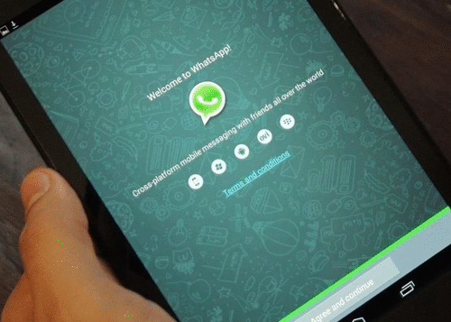 conexin-WhatsApp.gif