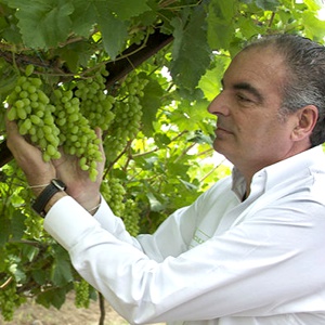 Aurelio Iragorri Valencia - uva Aurelio Iragorri Valencia - uva