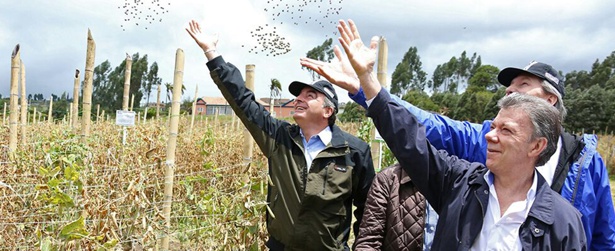 Gobierno lanza Plan Semilla para pequeños productores Gobierno lanza Plan Semilla para pequeños productores