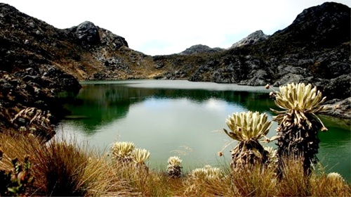 Macizo-colombiano1.jpg