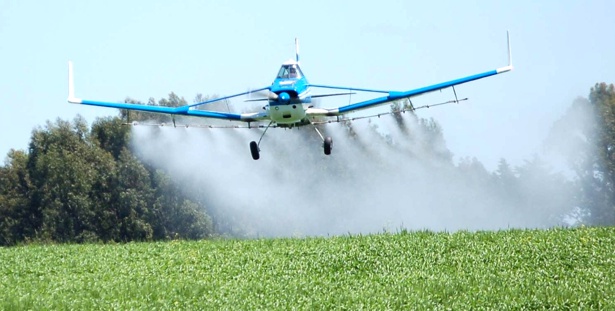 Minsalud-recomendó-suspender-fumigaciones-de-cultivos-ilícitos-con-glifosato.jpg