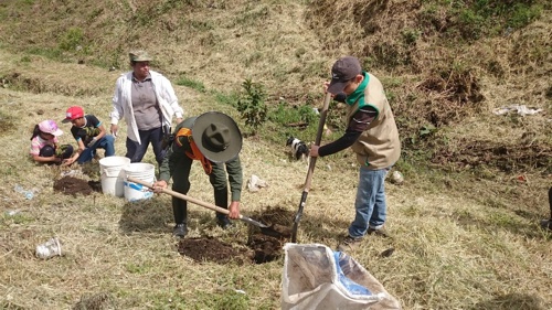 210-plántulas-fueron-sembradas-en-el-humedal-Las-Palmas.jpg