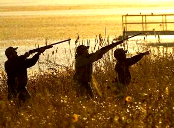 Cazadores-de-animales-Casanare.jpg