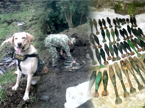 Desmantelan-depósito-de-granadas-de-las-Farc-en-el-Cauca3.jpg