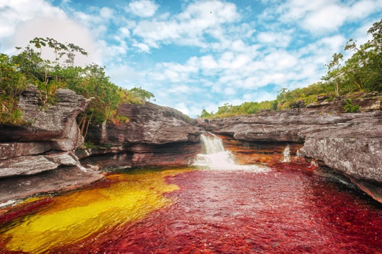 Caño Cristales - Colombia Caño Cristales - Colombia