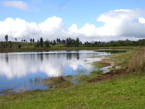 Humedales del Cauca