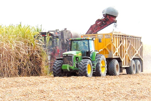 Sector-azucarero.jpg