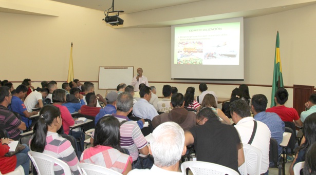 Sectores-productivos-capacitados-en-agricultura-orgánica-en-el-Cauca-CRC.jpg