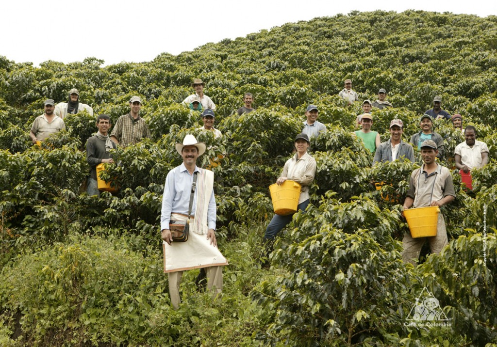 caficultores-1024x716.jpg