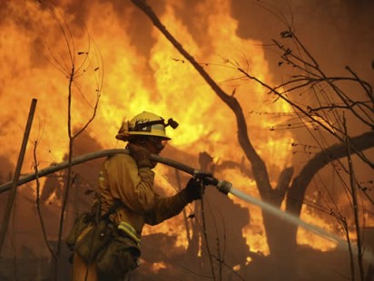 CRC, incendios forestales