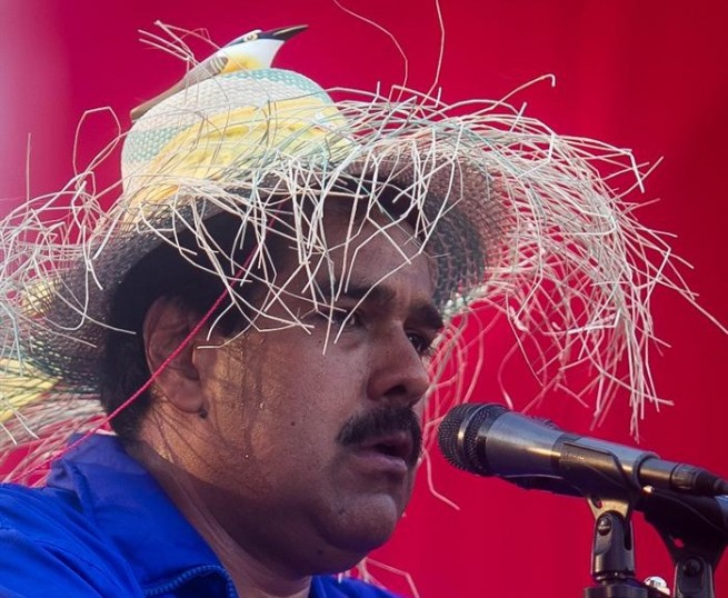 Maduro-pajarito Maduro-pajarito
