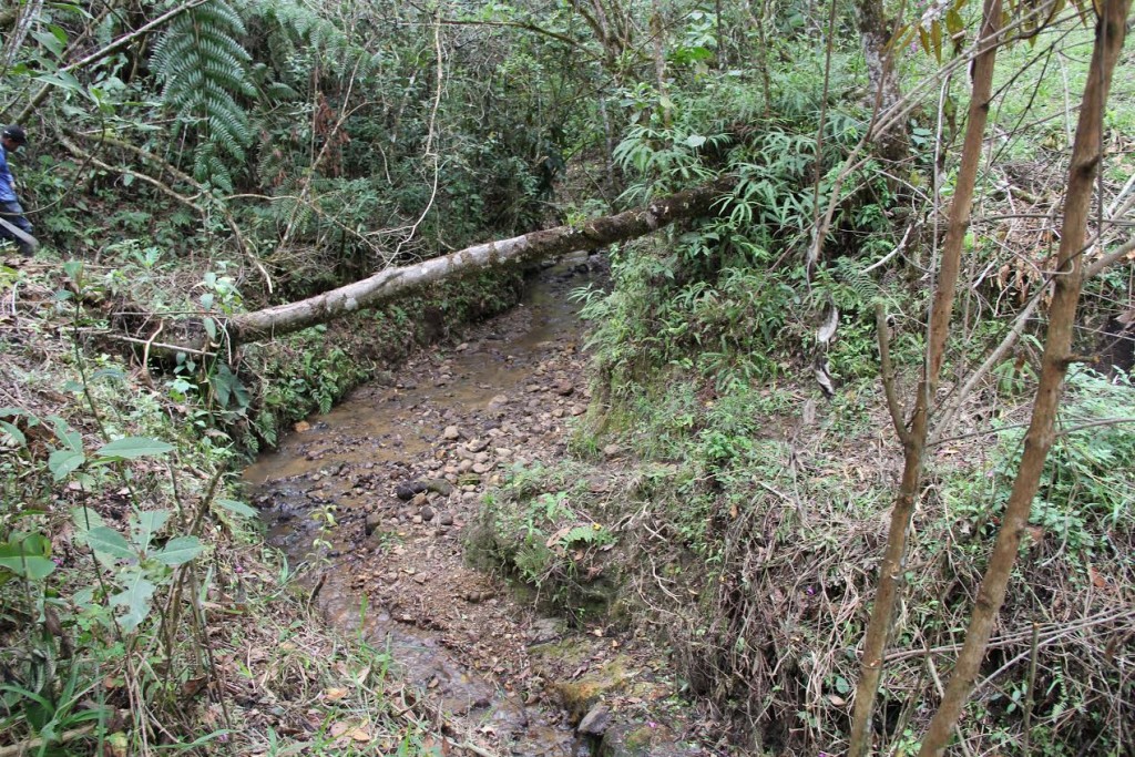 Río-Molino-1024x683.jpg