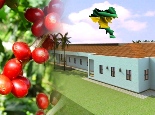 Tecnicafé-Caficultura-Caucana.jpg