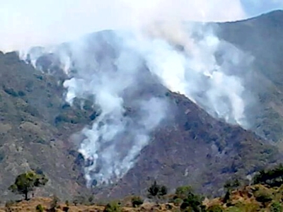 INCENDIO-FORESTAL-EN-BALBOA.jpg
