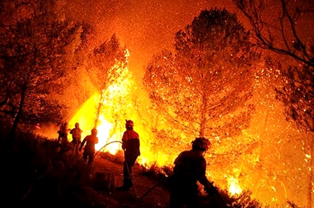 Incendios forestales Incendios forestales