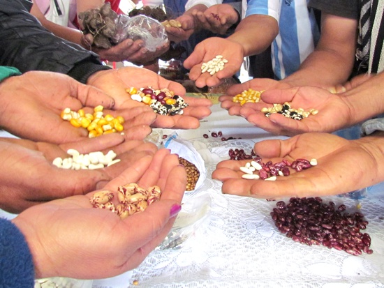Vamos-a-recuperar-la-soberanía-alimentaria-del-país-MinAgricultura.jpg