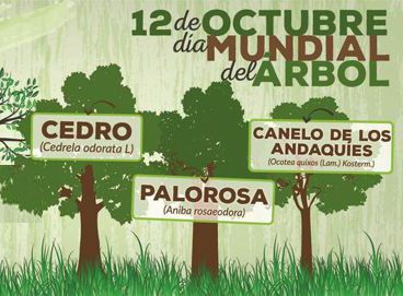 12-de-octubre-2.jpg