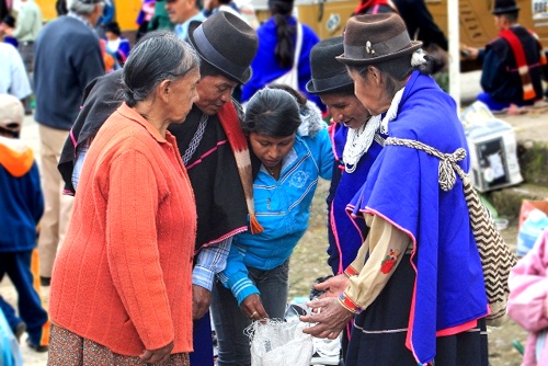 Cicaficultura-Primer-Mercado-Solidario-e-Intercultural-en-la-Unicauca.jpg