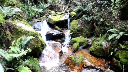 Quebrada-de-agua-Cauca.jpg