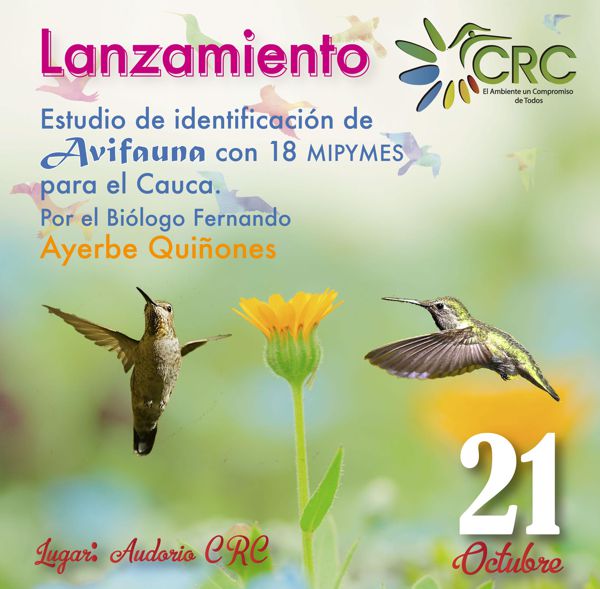 avifauna redes avifauna redes