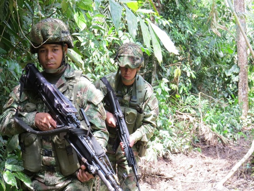 Continúa-ofensiva-contra-el-narcotráfico-en-el-sur-del-país-Ejército-Nacional.jpg