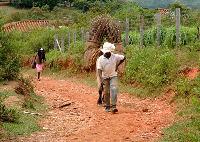INCODER invirtió $361 millones en la rehabilitación del distrito de riego Dominguillo. INCODER invirtió $361 millones en la rehabilitación del distrito de riego Dominguillo.