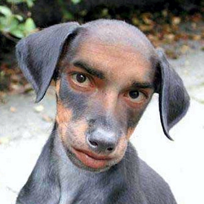 Cara de perro Cara de perro