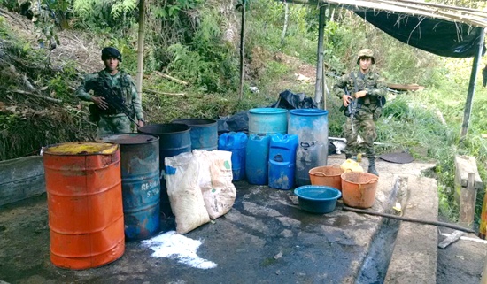 Destruidos-dos-laboratorios-para-el-procesamiento-de-coca-en-el-Cauca.jpg