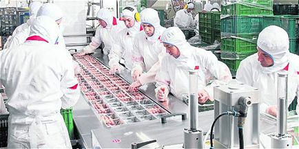 economia economia