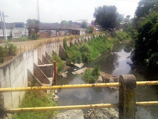EL-RIO-PALO.jpg