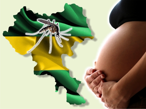 El-Cauca-en-alerta-por-el-virus-del-Zika.jpg
