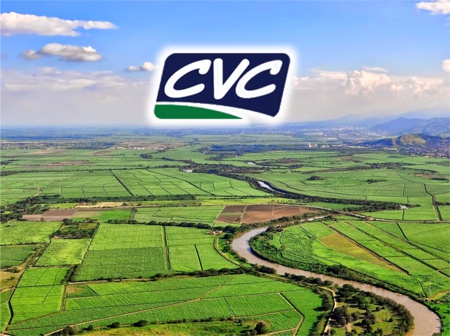 CVC - Valle