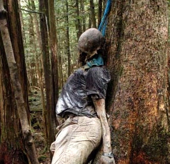 El-bosque-de-los-suicidios-cine.jpg
