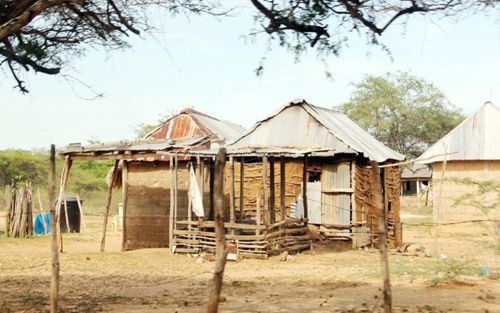 Guajira Guajira