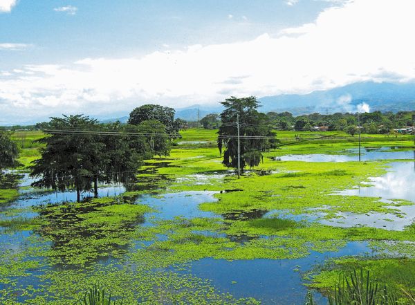 Laguna-de-Sonso-Buga-Valle-del-Cauca.-www.hotelescalivalledelcauca.jpg