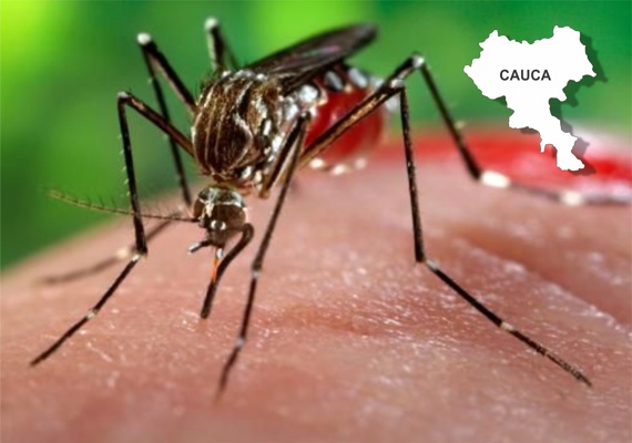 Enfermedades Transmitidas por Vectores en el Cauca - Zika en el Cauca