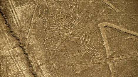 NAZCA NAZCA