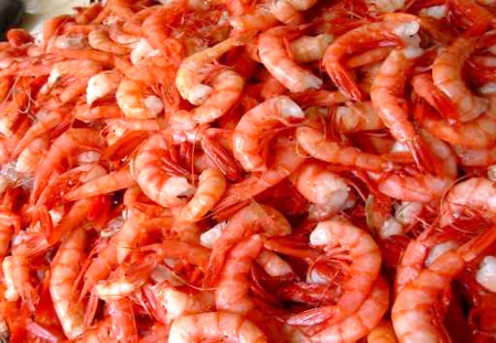 Pesca-de-camarones.jpg