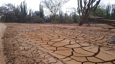 guajira-1.jpg
