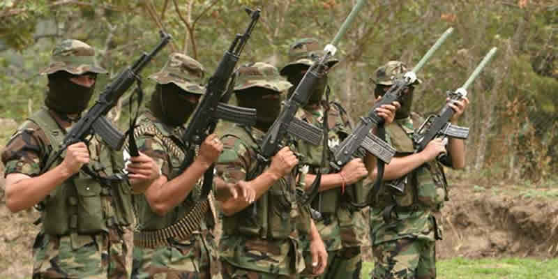 usuga1-800x400
