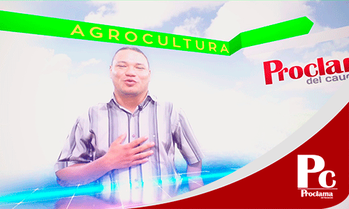 AgrooCCultura.gif