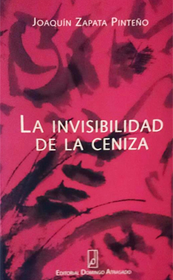 La-invisibilidad-de-la-ceniza.jpg